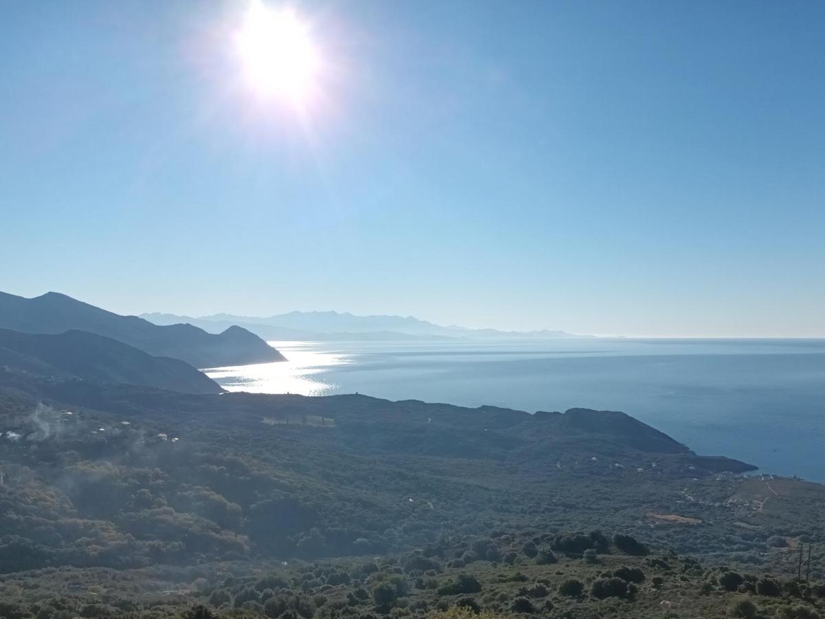 Azureo - Terrasse Du Golfe Villa Morsiglia Dış mekan fotoğraf