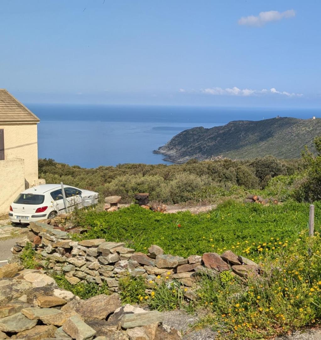 Azureo - Terrasse Du Golfe Villa Morsiglia Dış mekan fotoğraf